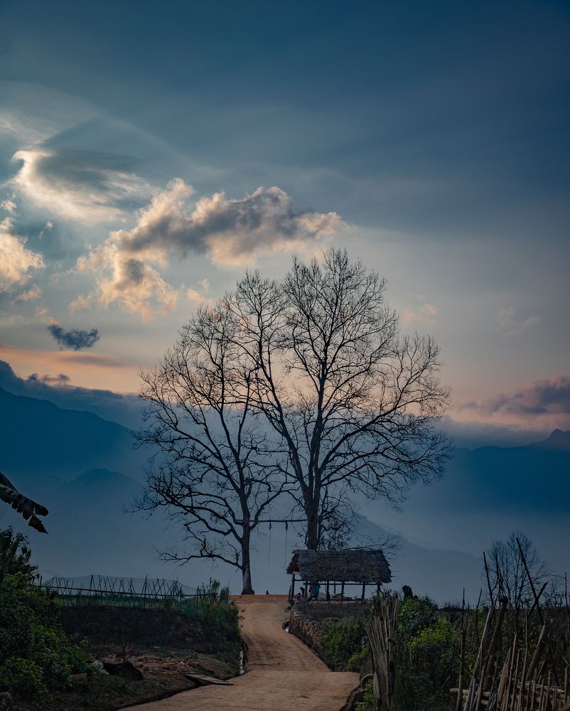 Photograph by Kevin Nguyen