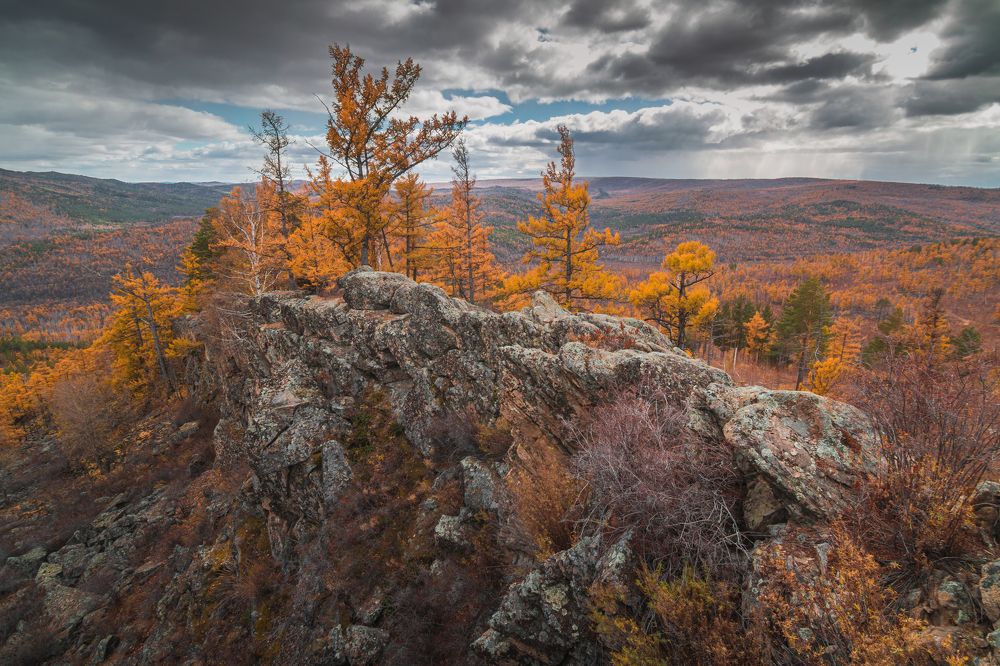 Photograph by Портных Дмитрий