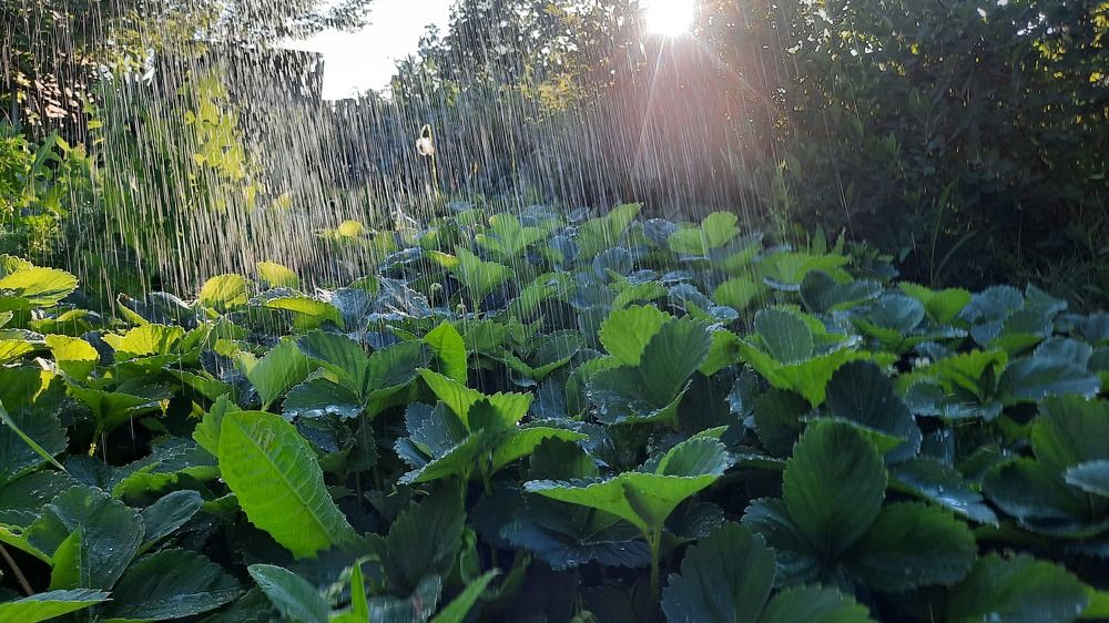 Photograph by Егорова Оксана