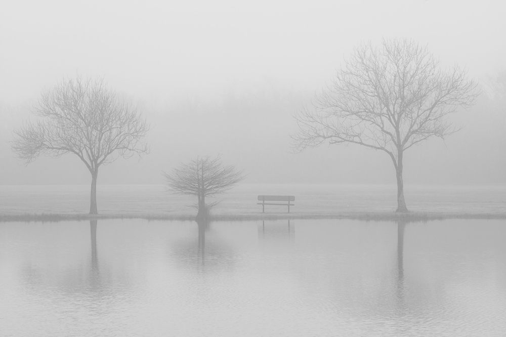 Photograph by Duc Tran