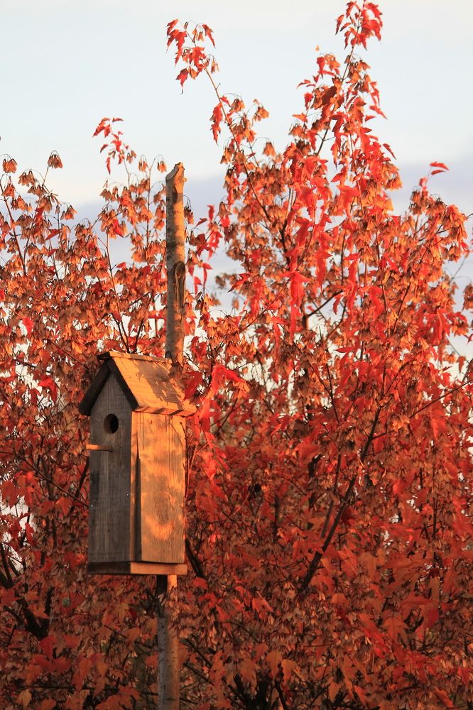 Photograph by Наталья Жигарева