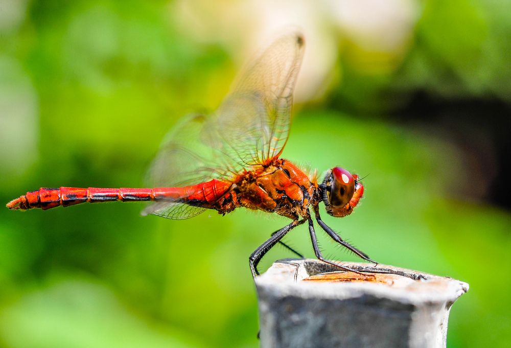 Photograph by Олеся zme