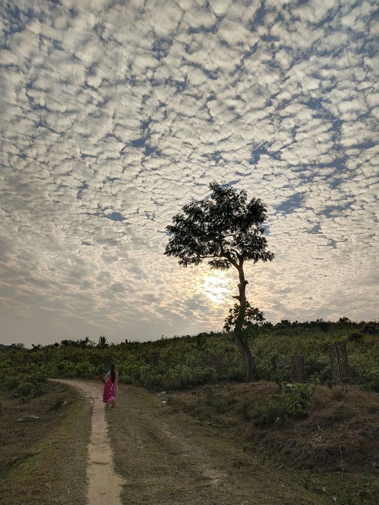 Фотография автора Dipayan Debbarma