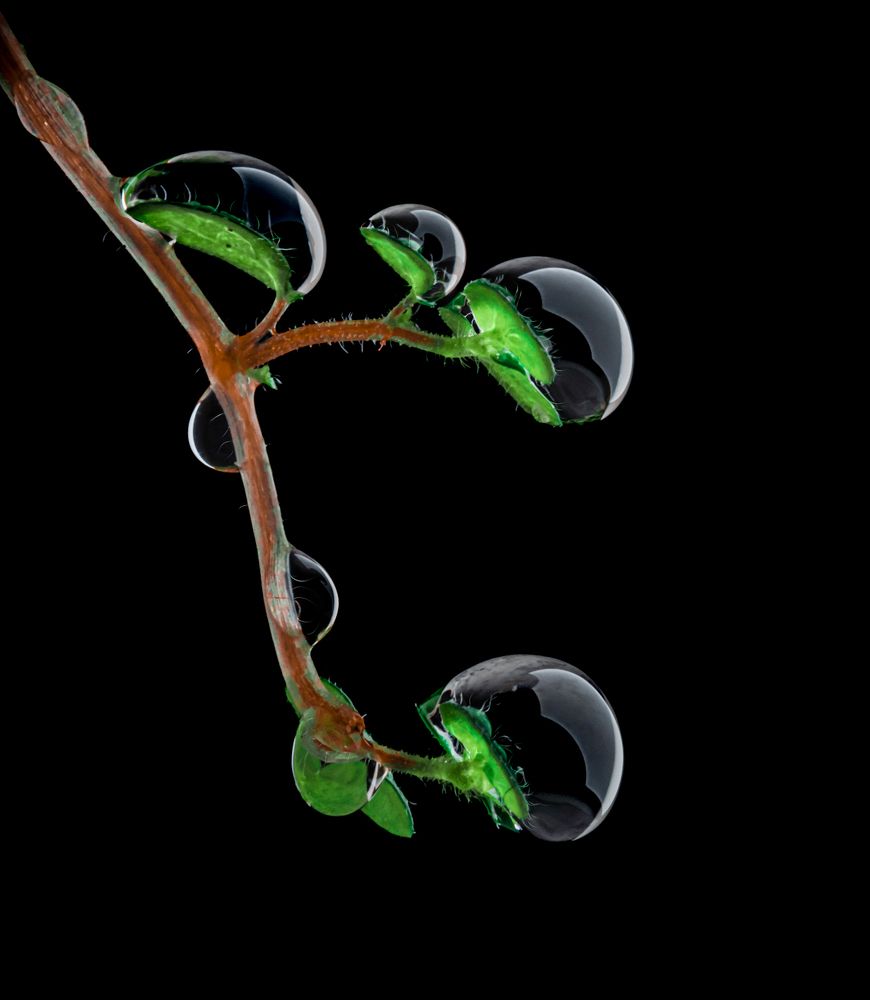 Photograph by Захарова Надежда