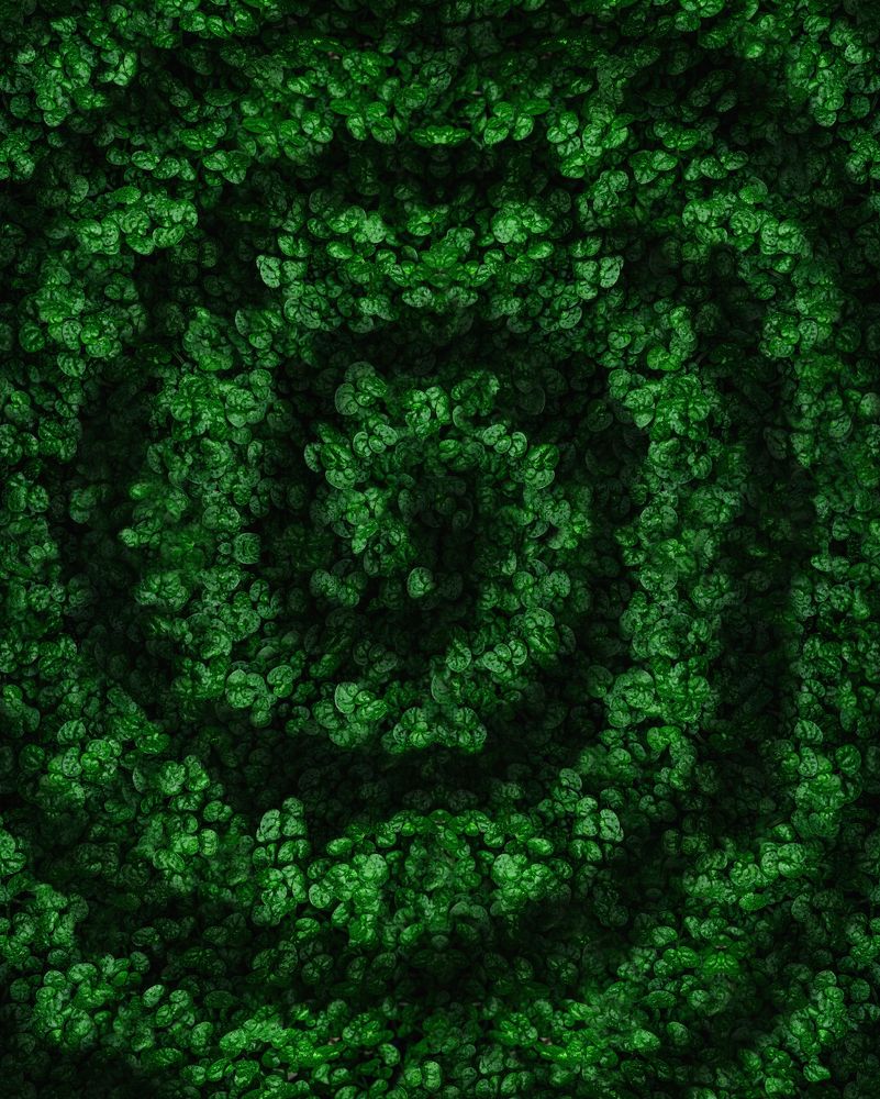 Photograph by Захарова Надежда