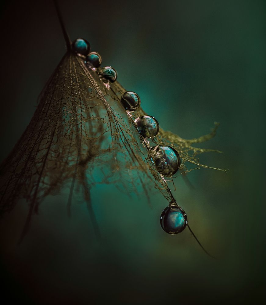 Photograph by Захарова Надежда