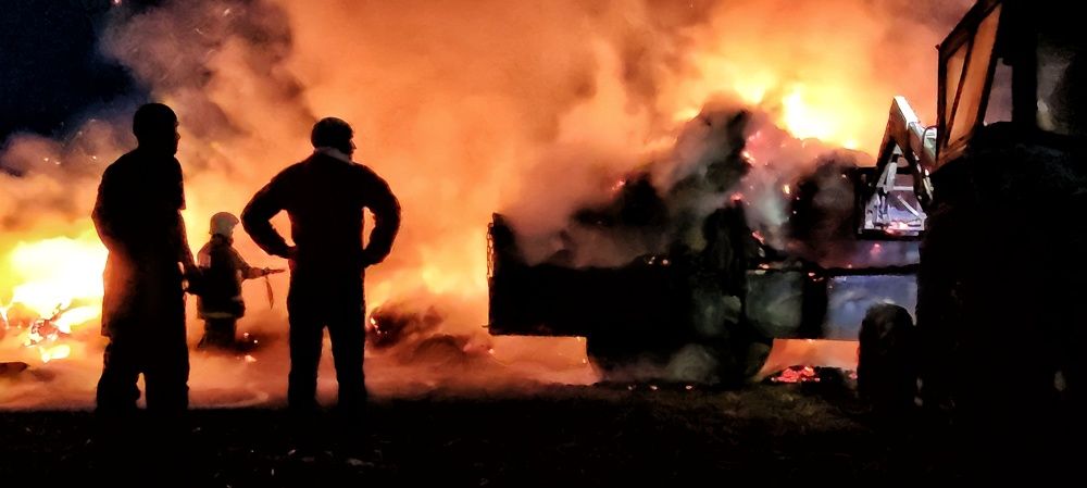 Photograph by Эдуард Саитгалеев