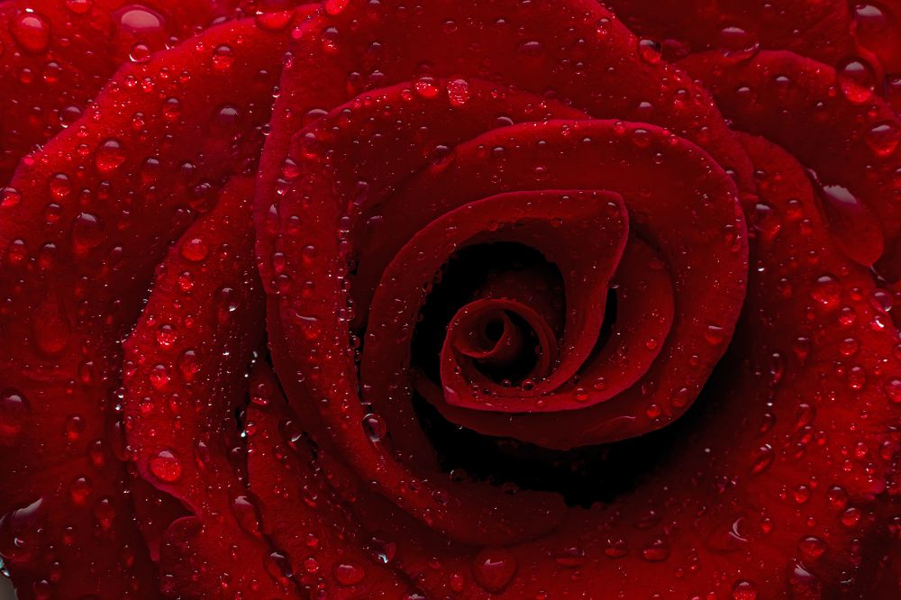 Фотография автора NeCoTi ChonTin