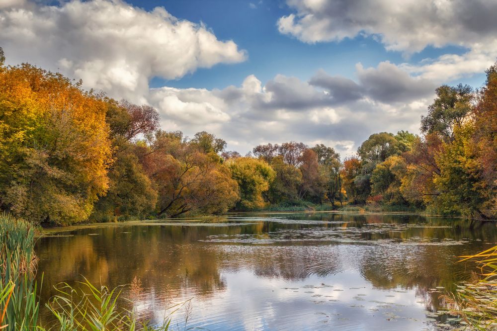 Осень на Везёлке