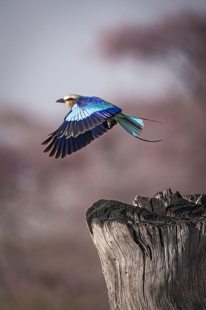 Photograph by Merche Llobera