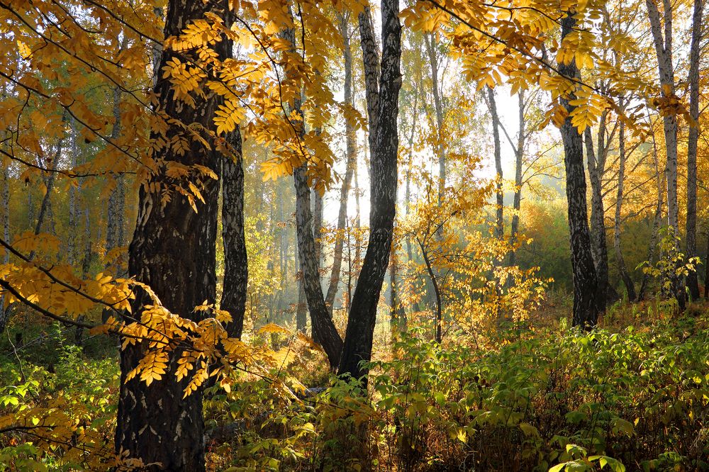 Фотография автора Кухта Мария