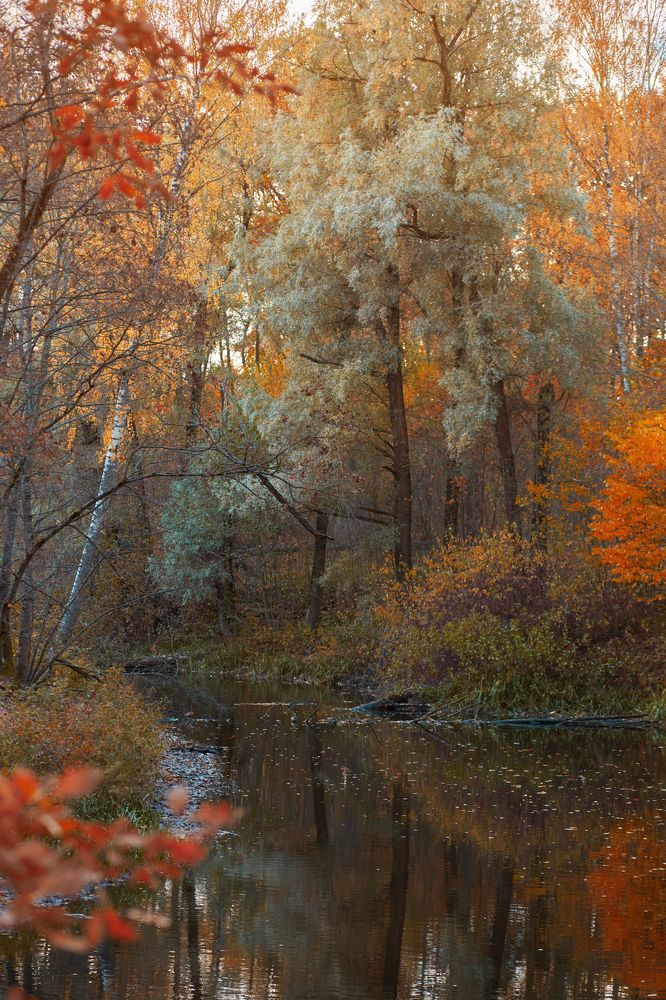 Photograph by Viktor Sheibak