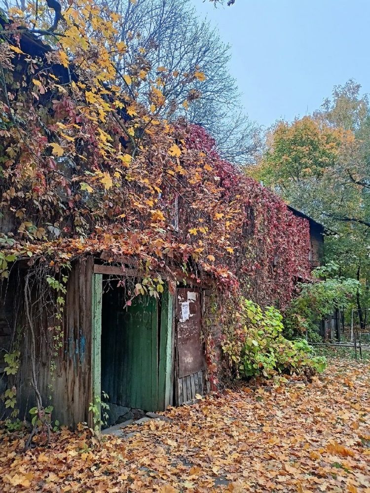 Дом под расселение...