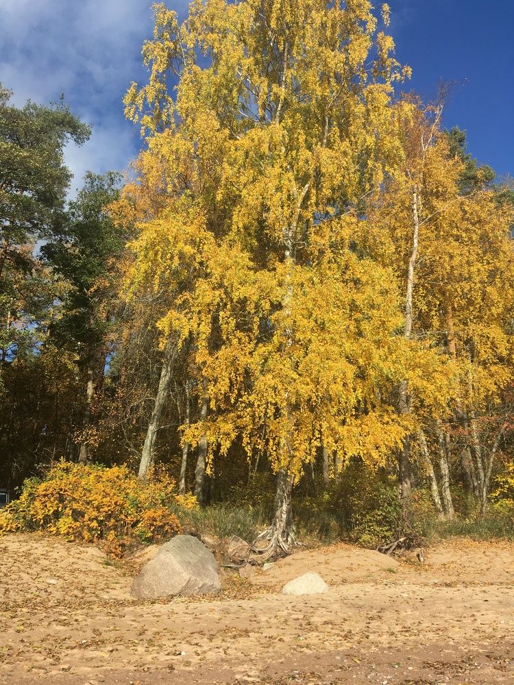 Фотография автора Анастасия