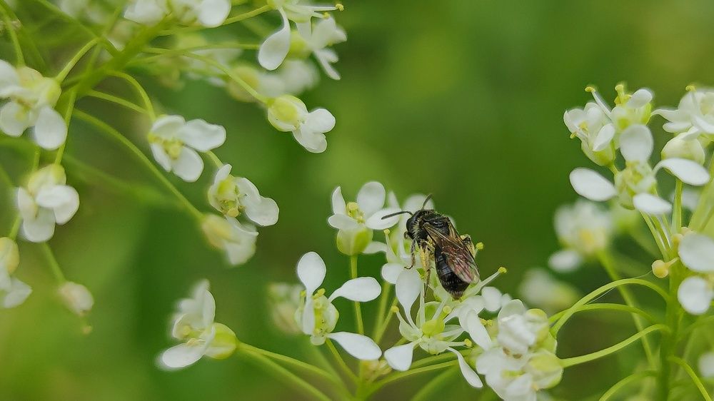 Photograph by Карина Берещанская