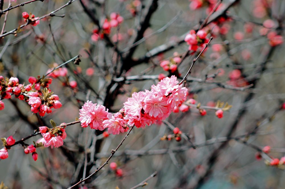 Photograph by Mikhail Levin