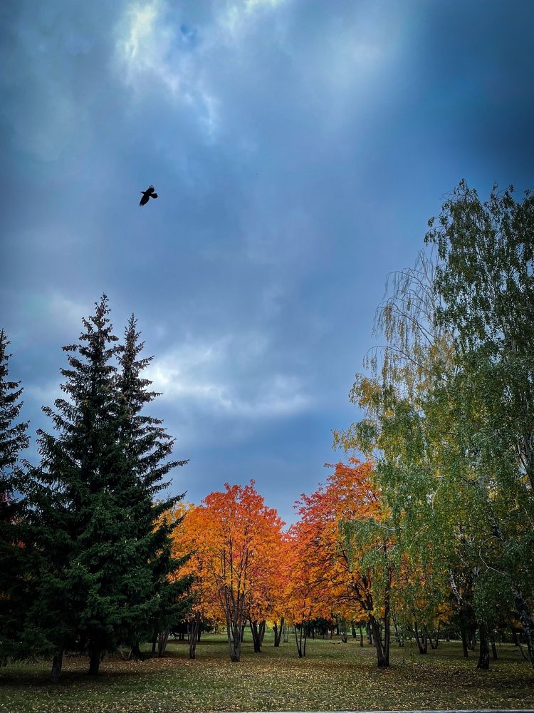 Фотография автора Рамзия Хисамутдинова