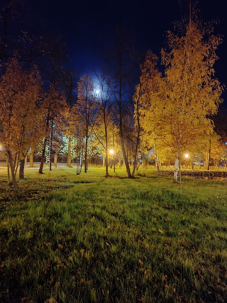 Фотография автора Светлана Смирнова