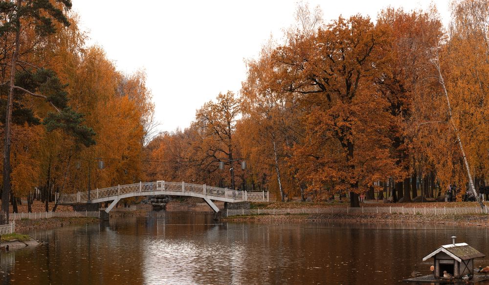 Photograph by Максим Трифонов