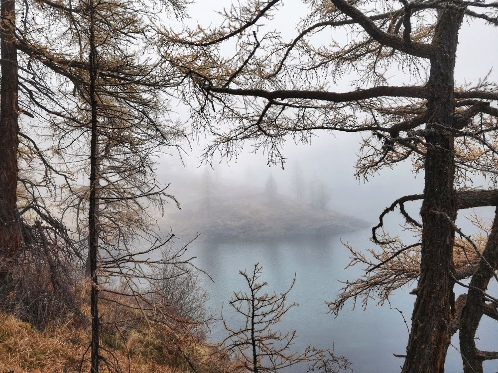 Photograph by Константин