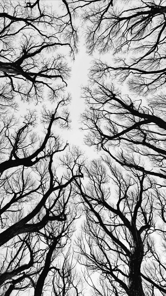 Photograph by Константин