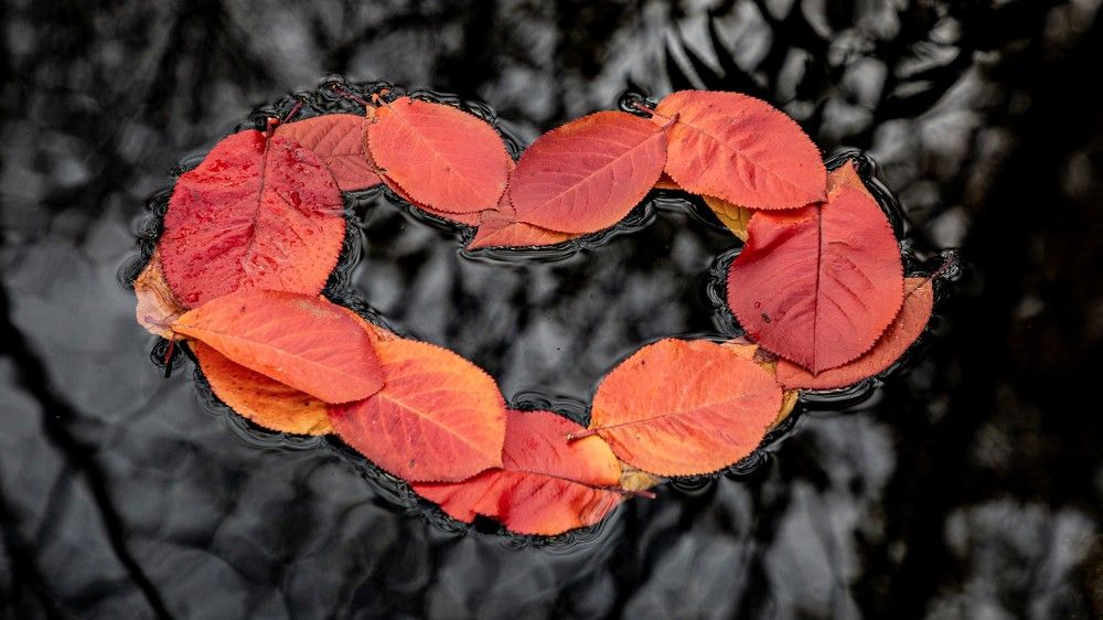 Красное на черном