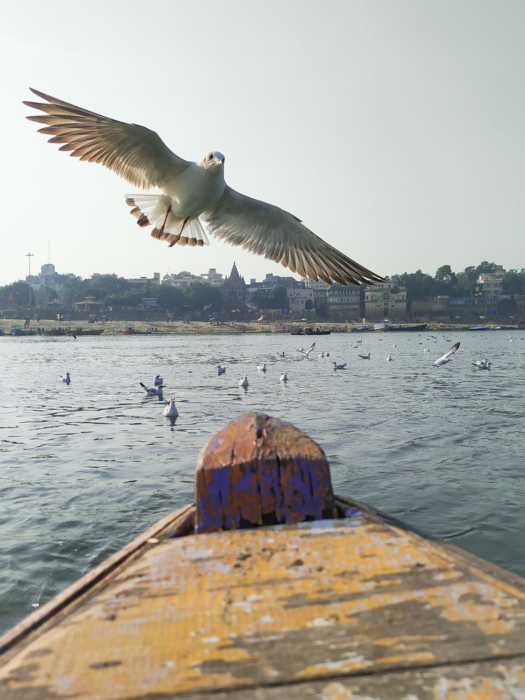 Photograph by Suruchi Mishra