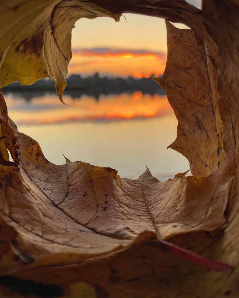 Photograph by Halina Mitsevich