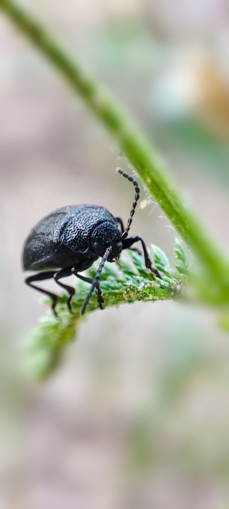 Photograph by Konstantin Martynov