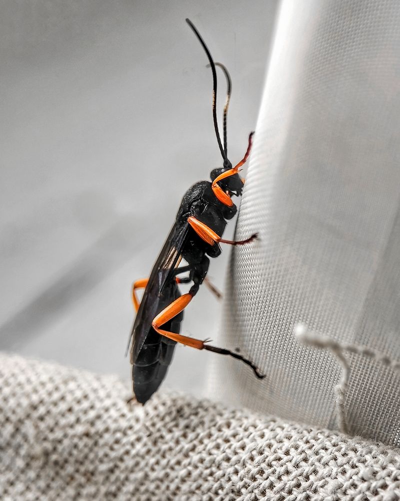 Фотография автора Марина Борисова