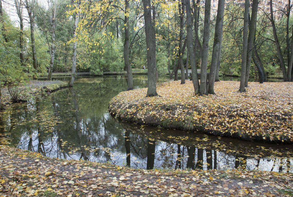 Photograph by владимир Заворотный