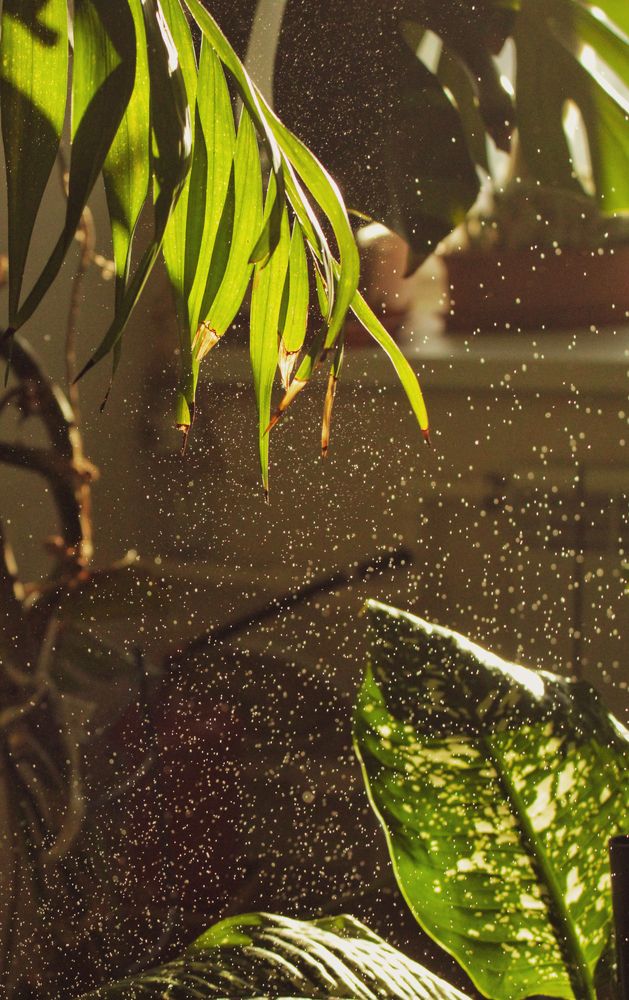 Photograph by Екатерина Михеева