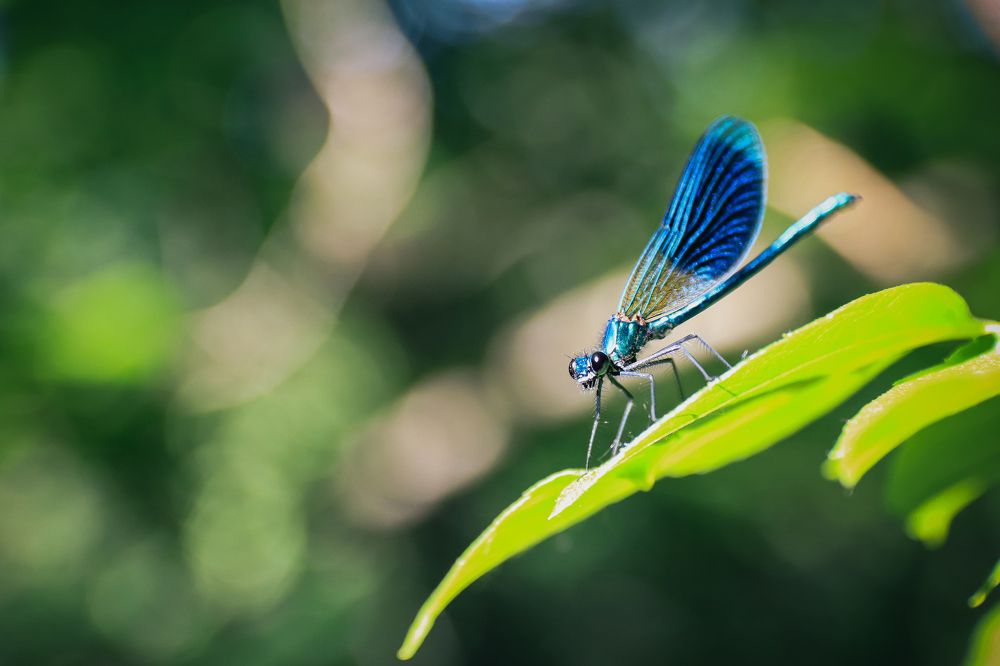 Photograph by Николай Стрельников