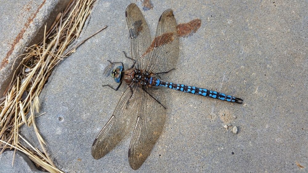 Photograph by Андрей Нурулин