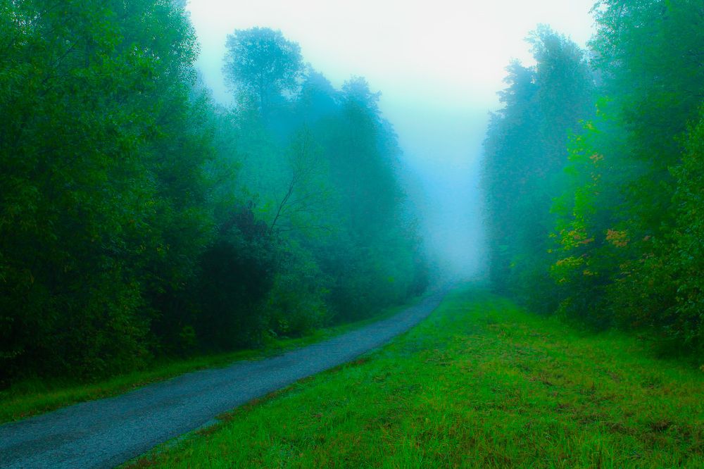 Photograph by Матвей Короткин