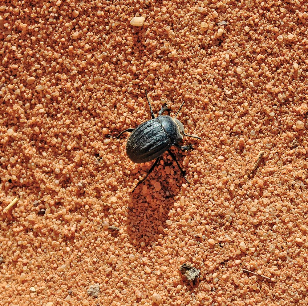 Photograph by Алексей