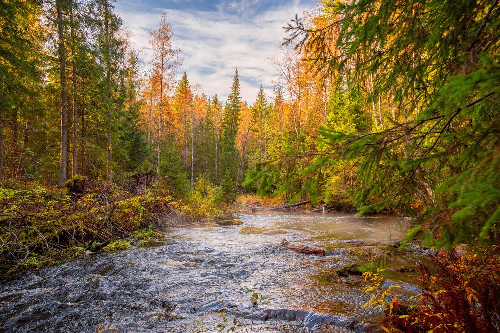 Photograph by Алена Устинович