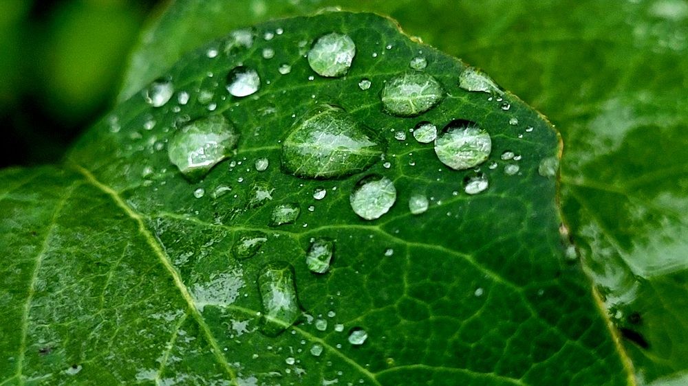 Фотография автора Александра Карпикова