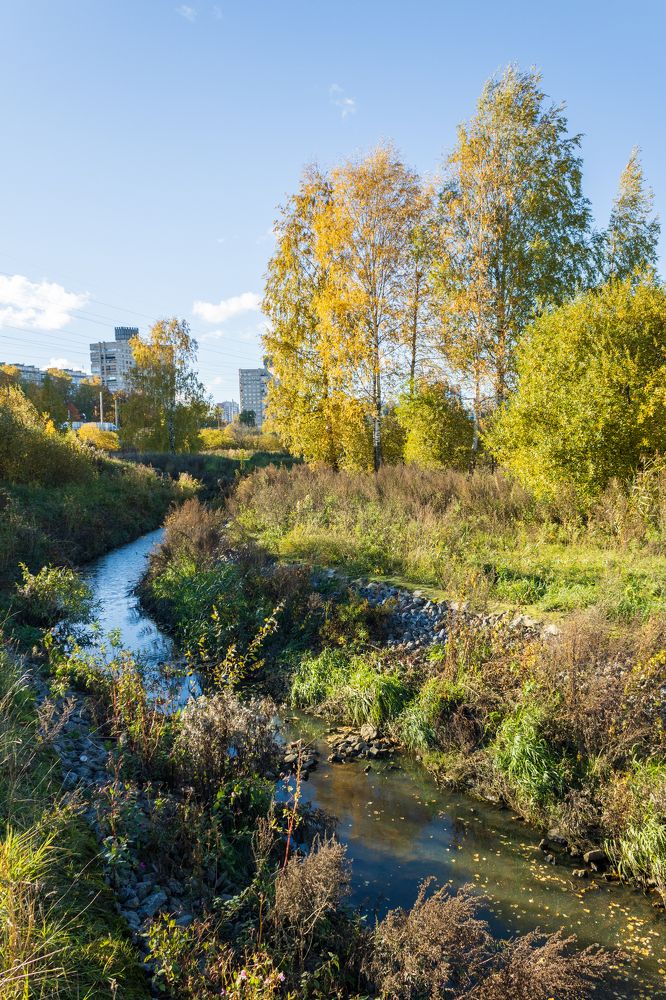 Осень в городском парке