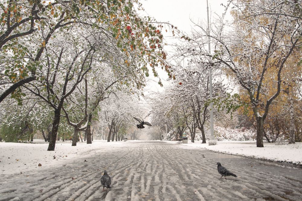 Photograph by Елена Граф