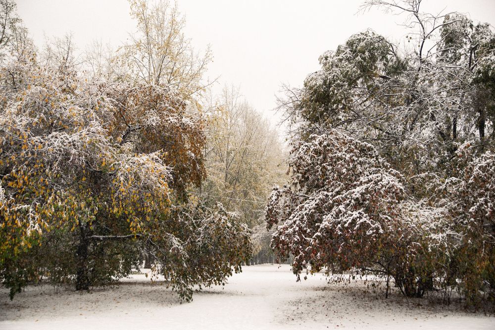 Photograph by Елена Граф