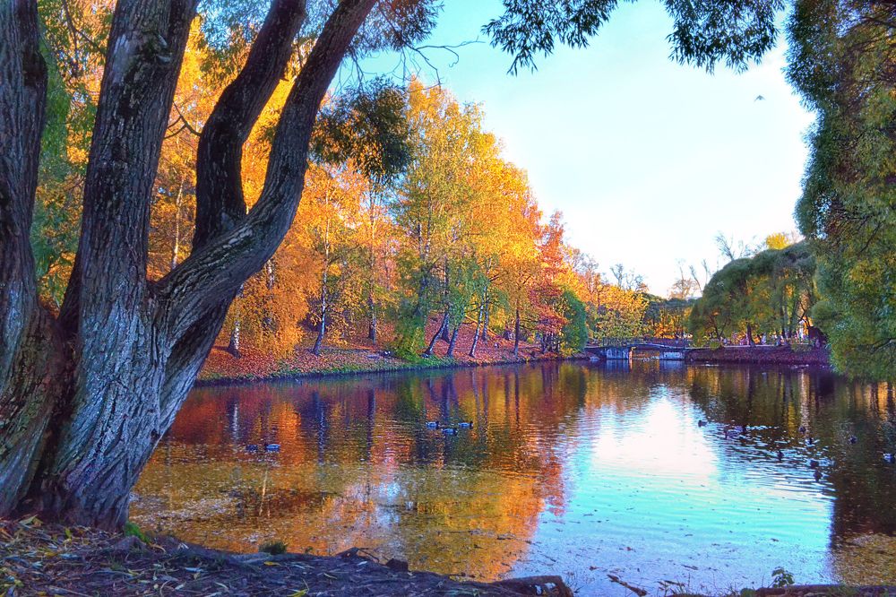 Photograph by Александра Коновалова