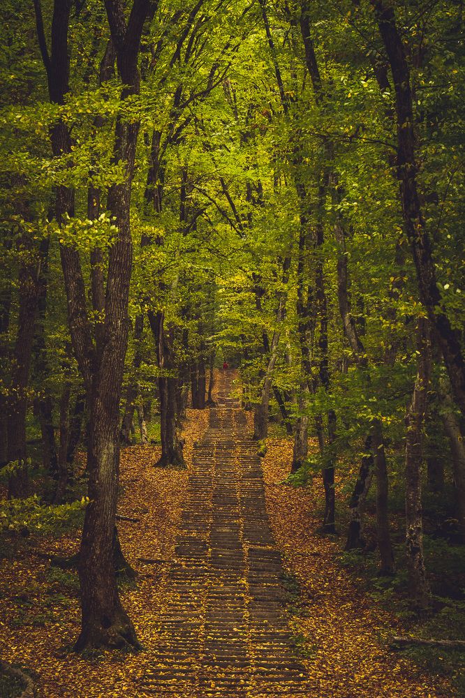 Photograph by Рымаров Александр