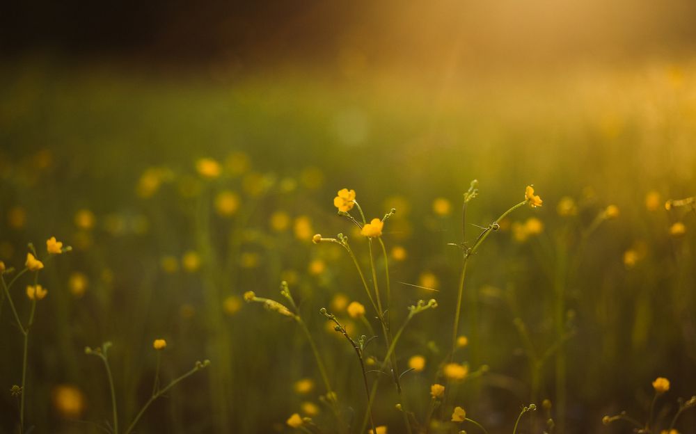 Photograph by Элиза Миникаева