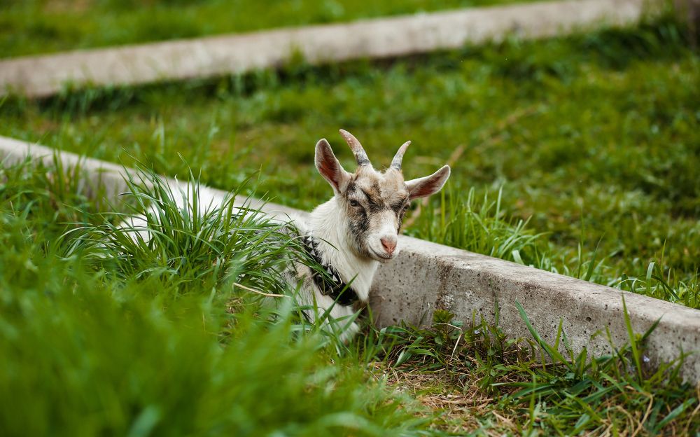 Photograph by Элиза Миникаева