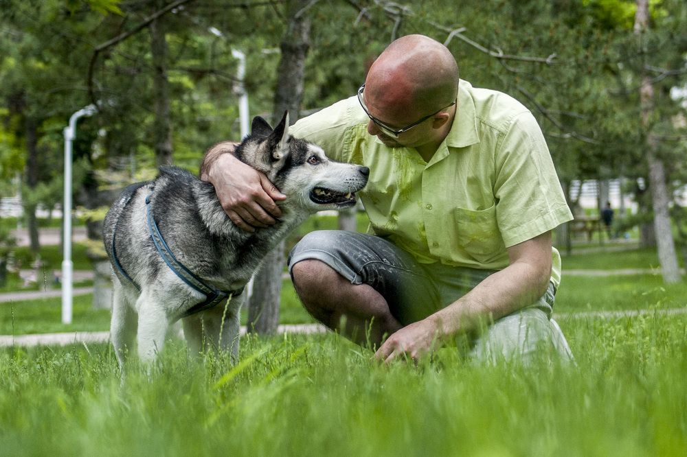 Photograph by DAMOUN POURNEMATI