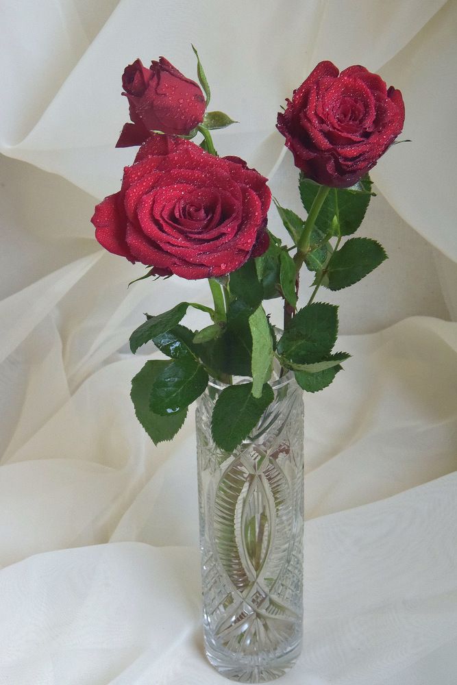 Очарование тишиной