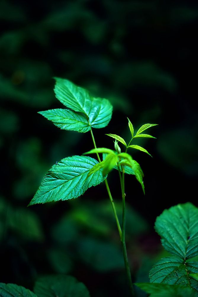 Photograph by Наталья Микулич