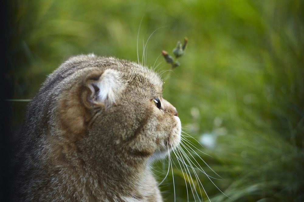 Photograph by Алексей Гунёв