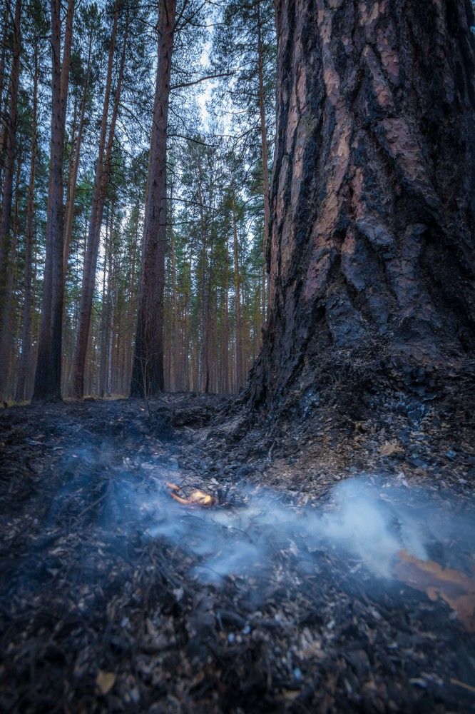 Photograph by Жданов Дмитрий